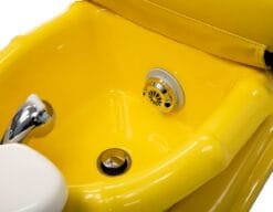Yellow Belle Kid's Pedicure Spa