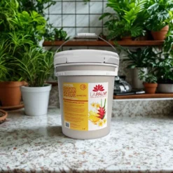 LAPALM  Hot Oil Sugar Scrub Tropical Citrus