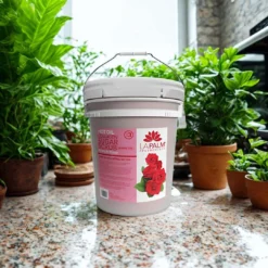 LAPALM  Hot Oil Sugar Scrub French Rose