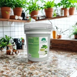 LAPALM  Hot Oil Sugar Scrub Green Tea