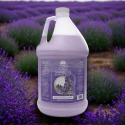 Shampoo and Hand Soap ( 3 SCENTS) A BOX 4G