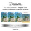 Demer Deluxe Pedi 4in1 - Tropical A BOX 60P